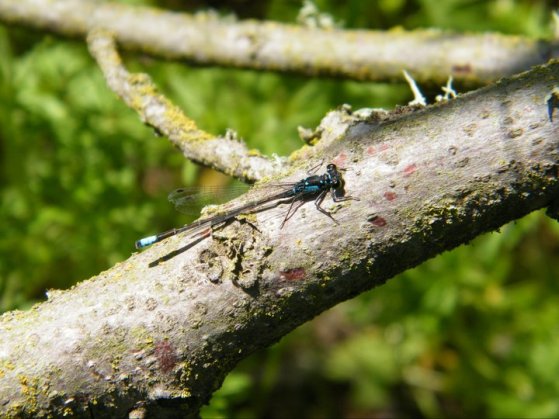 189448_198047463547021_954942_n