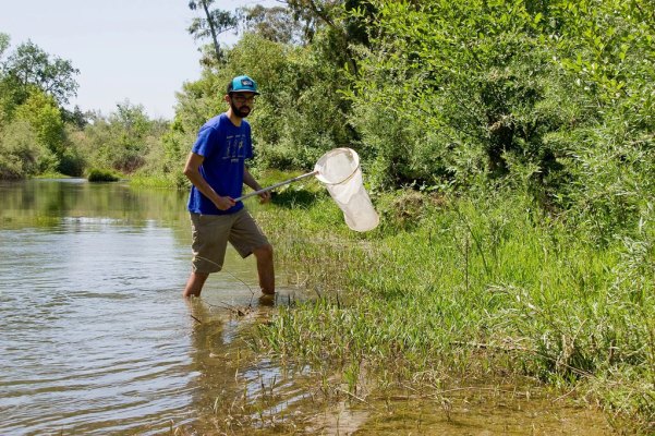 914119_600981673253596_1548653197_o