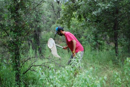 11141389_10206380981057195_6325685420610548023_o