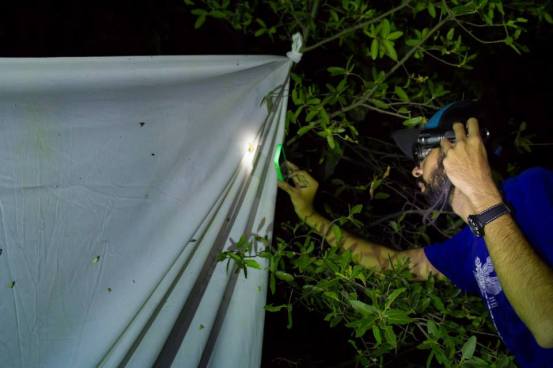 10409401_10204409332811901_304867564440629781_n