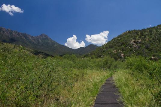 10521382_10204409328731799_5390121864901302786_n