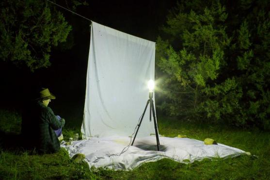 10614143_10204409345092208_7488214697948022394_n